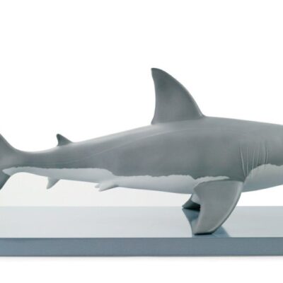 Gifts Lladró  | White Shark Figurine