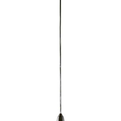 Lighting Lladró  | Ivy And Seed Single Ceiling Lamp. Absolute Black (Us)